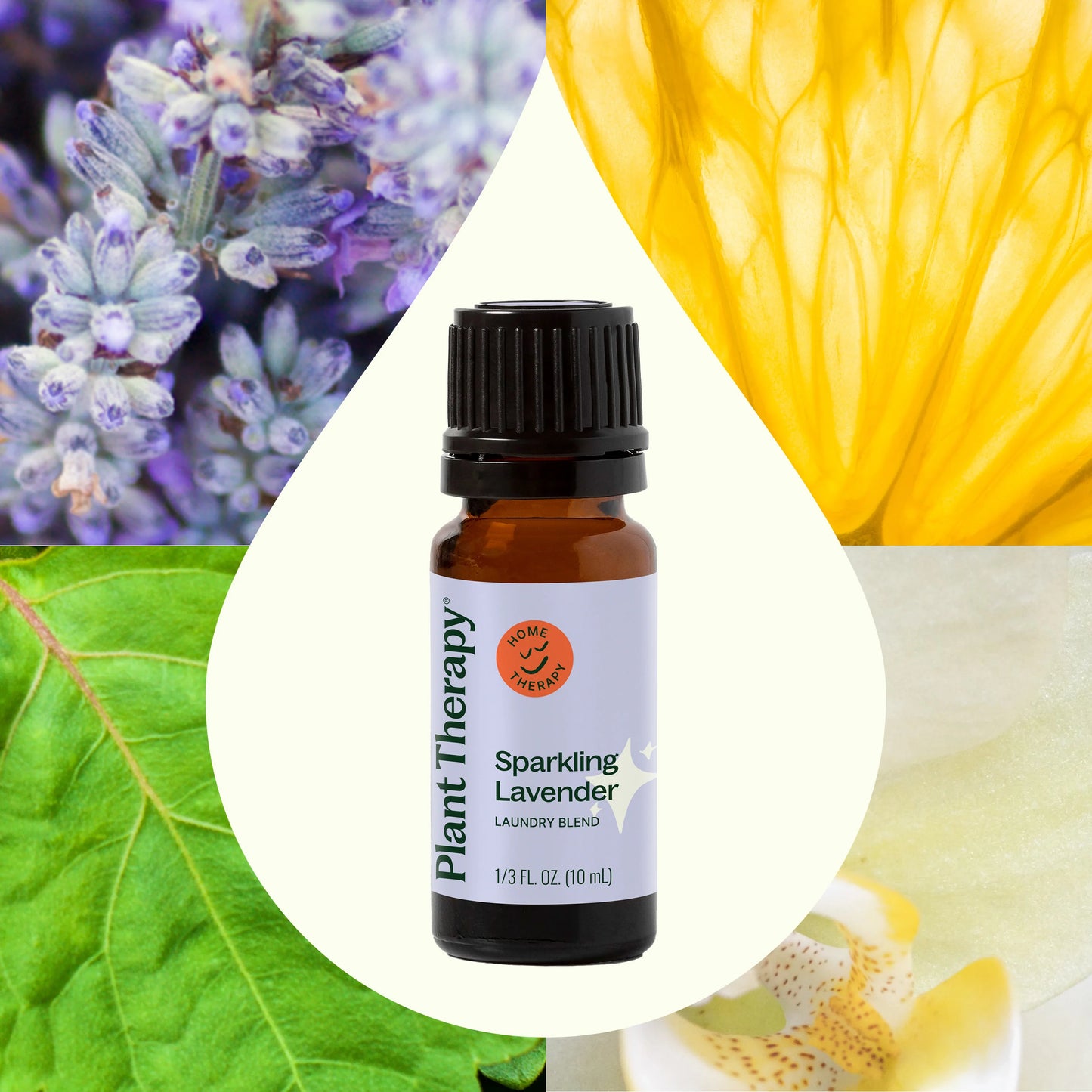 Plant Therapy - Sparkling Lavender Laundry Essential Oil Blend 10 ml