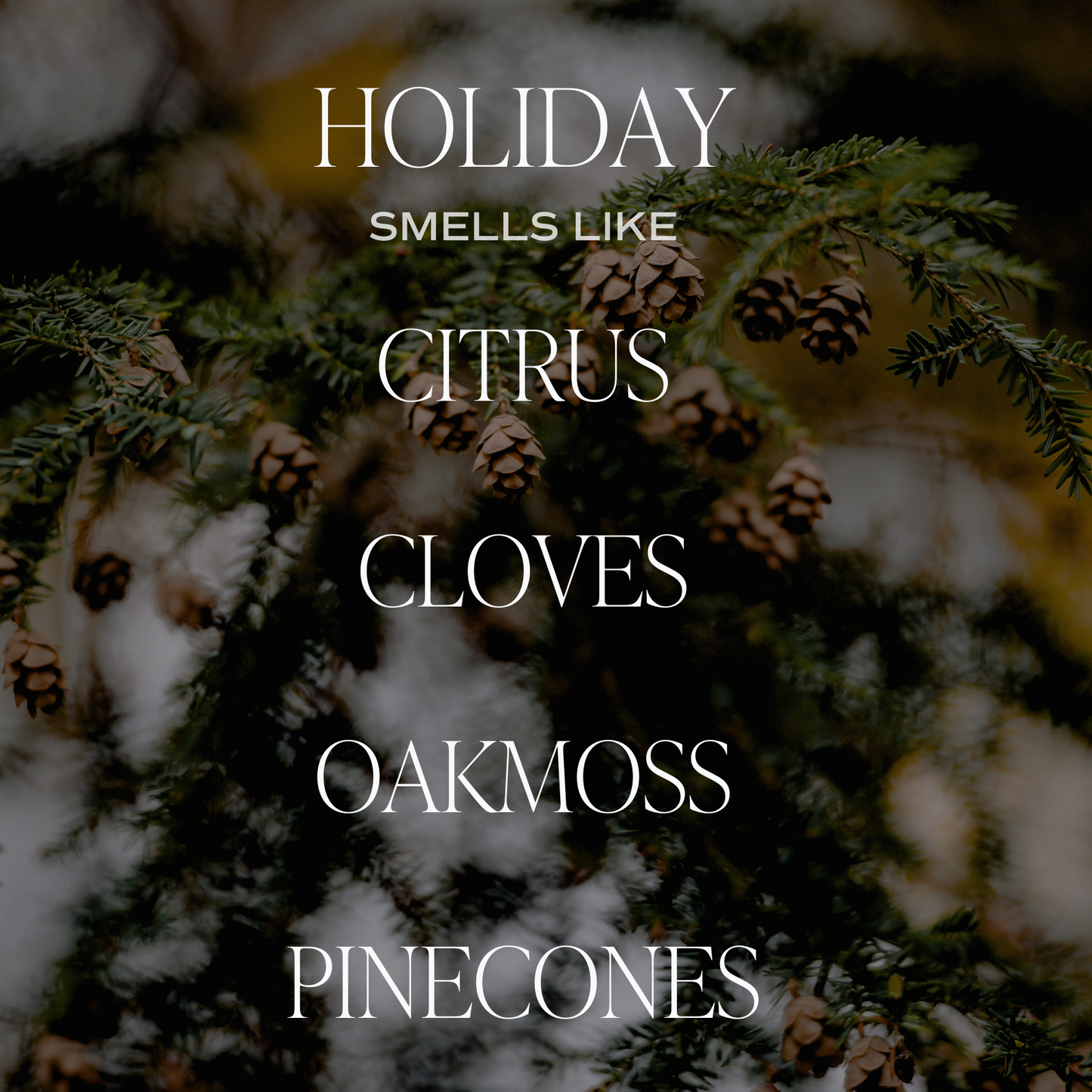 Sweet Water Decor - Holiday 11 oz Soy Candle - Christmas Home Decor & Gifts