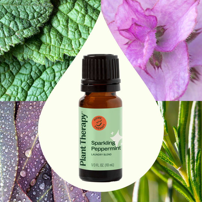 Plant Therapy - Sparkling Peppermint Laundry Essential Oil Blend 10 ml