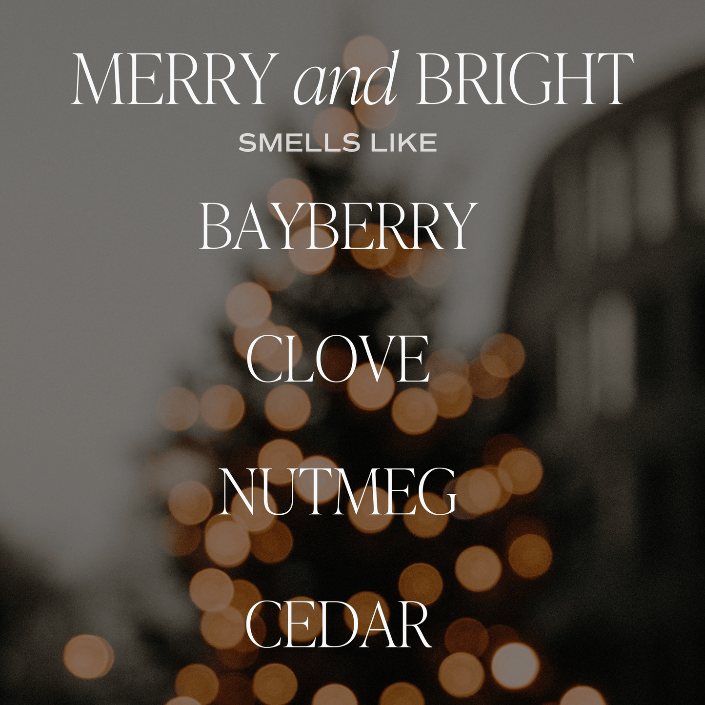 *NEW* Merry and Bright 9 oz Soy Candle - On the way!